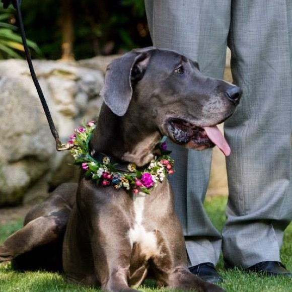 Meet your Posher, Randi - Picture 2 of 2